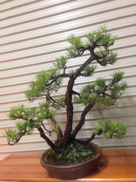 作品集・葉月園